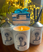 Load image into Gallery viewer, SOLASTA Delux range rock salt & Driftwood Diffuser